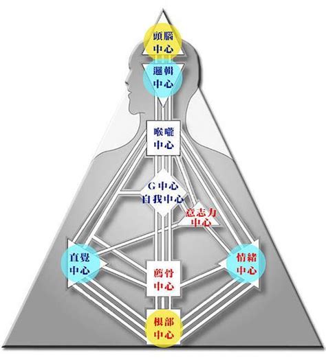 九大能量|會看人類圖嗎？人類圖九大能量中心速成懶人包：初學者輕鬆入門